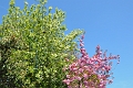 23 04_Regents Park_2867